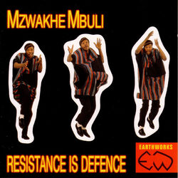 Cover of Resistance Is Defence