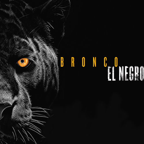 Quem é Você? cover art