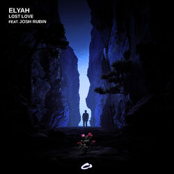 Cover of Lost Love
