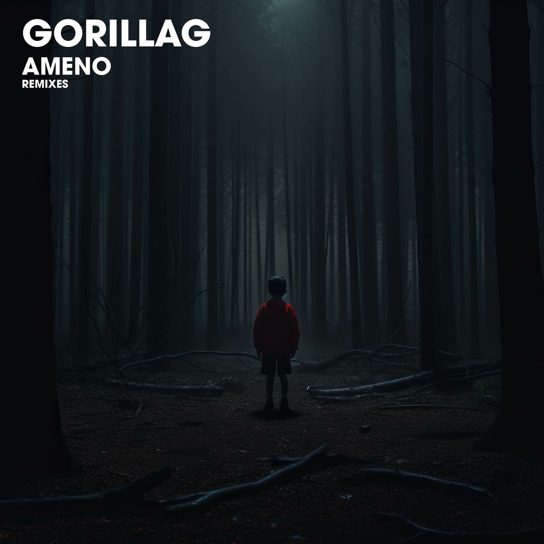 Album cover of Ameno