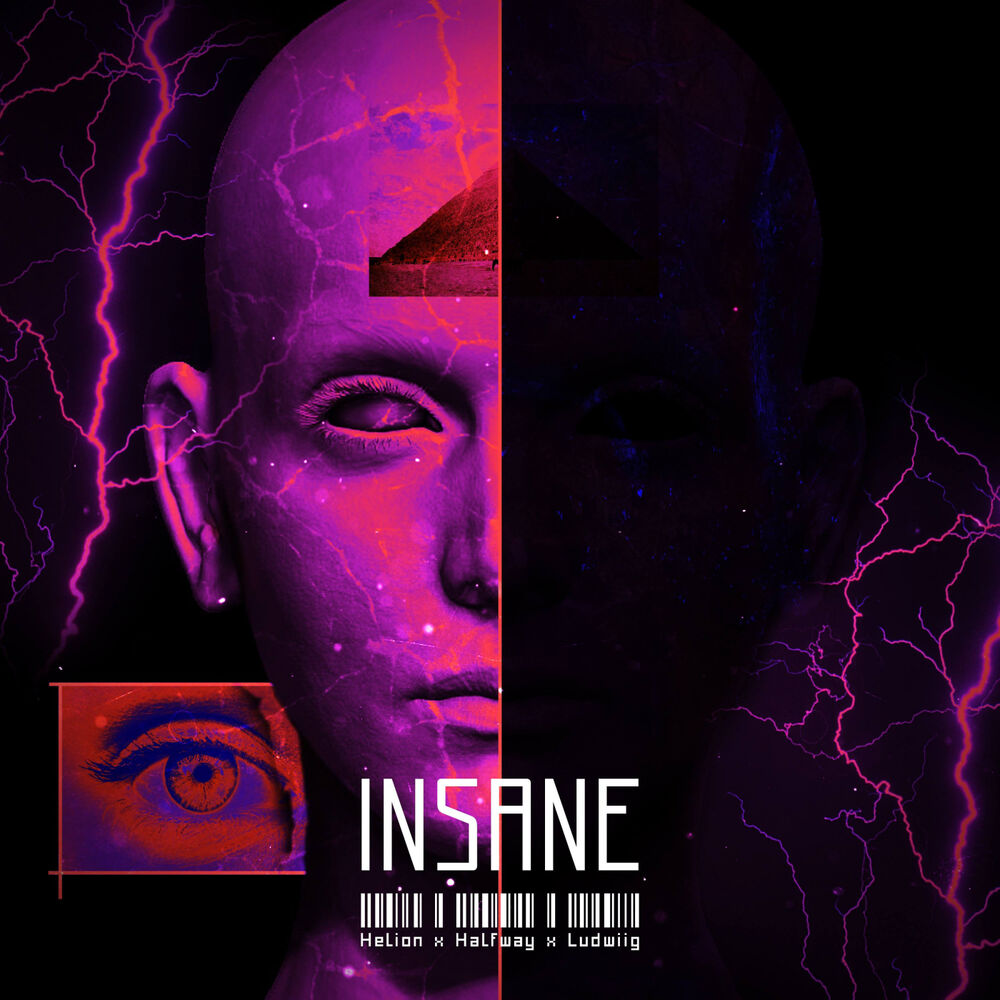 Picture of Insane
