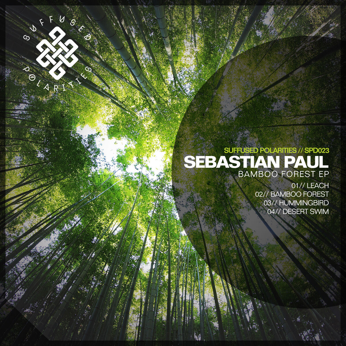 Album cover of Bamboo Forest