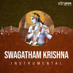Cover of Swagatham Krishna (Instrumental)