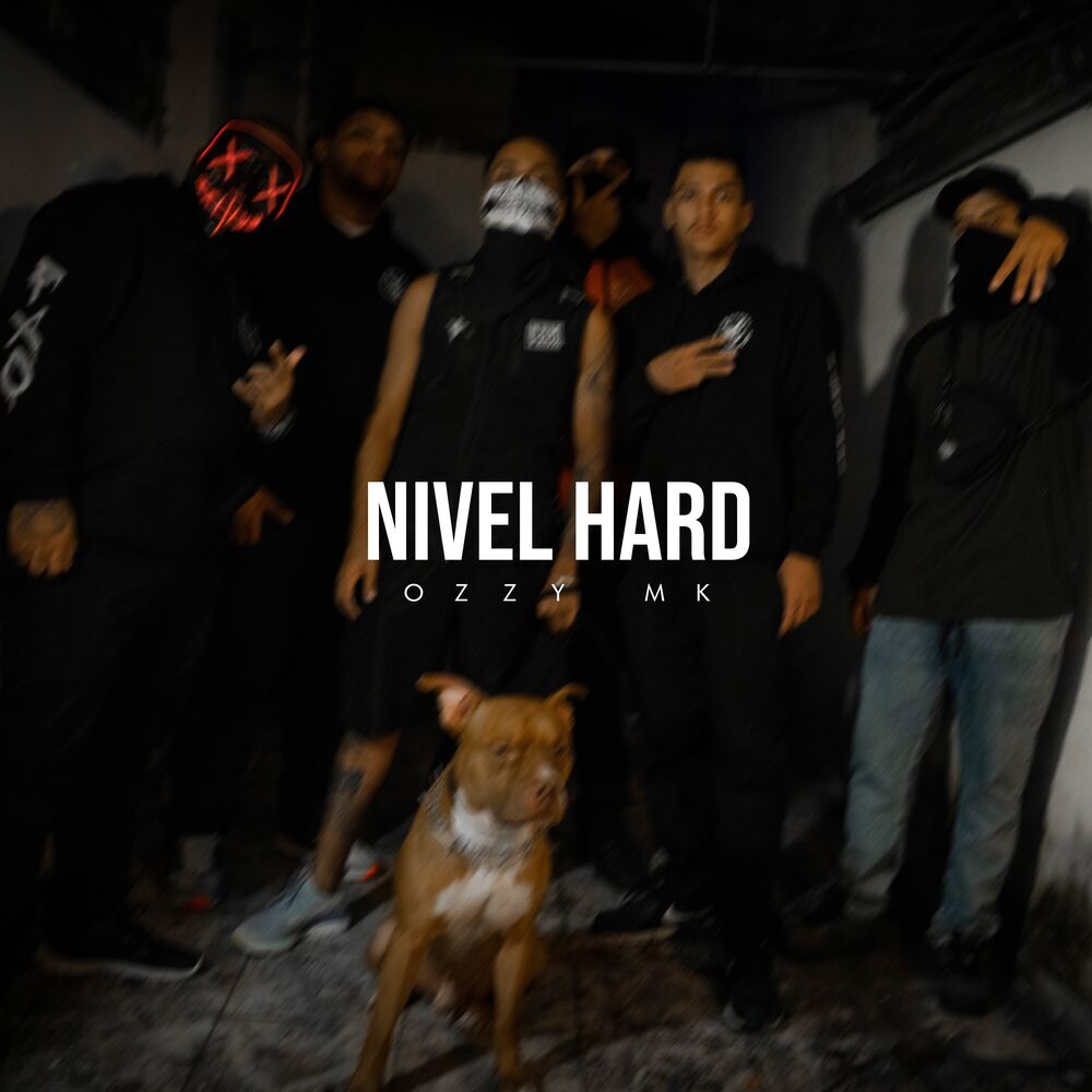 Picture of Nivel Hard