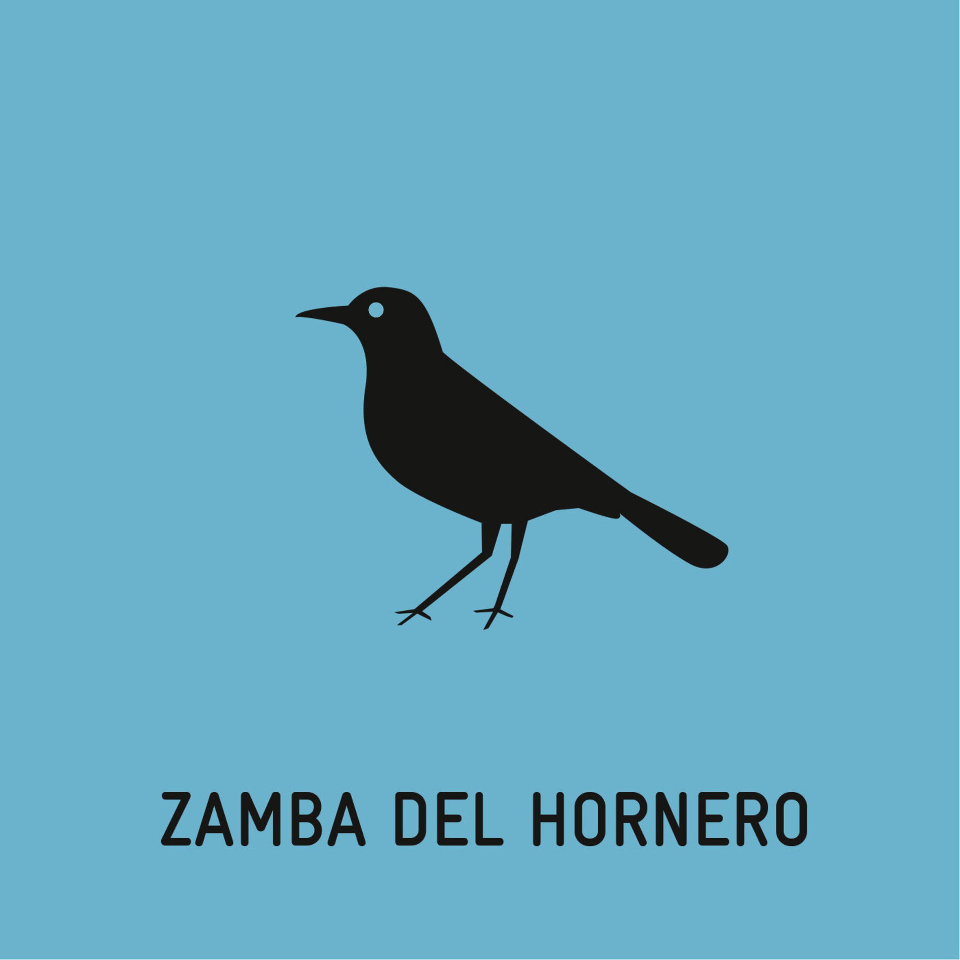Album cover of Zamba Del Hornero