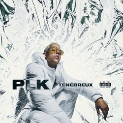 Cover of Ténébreux