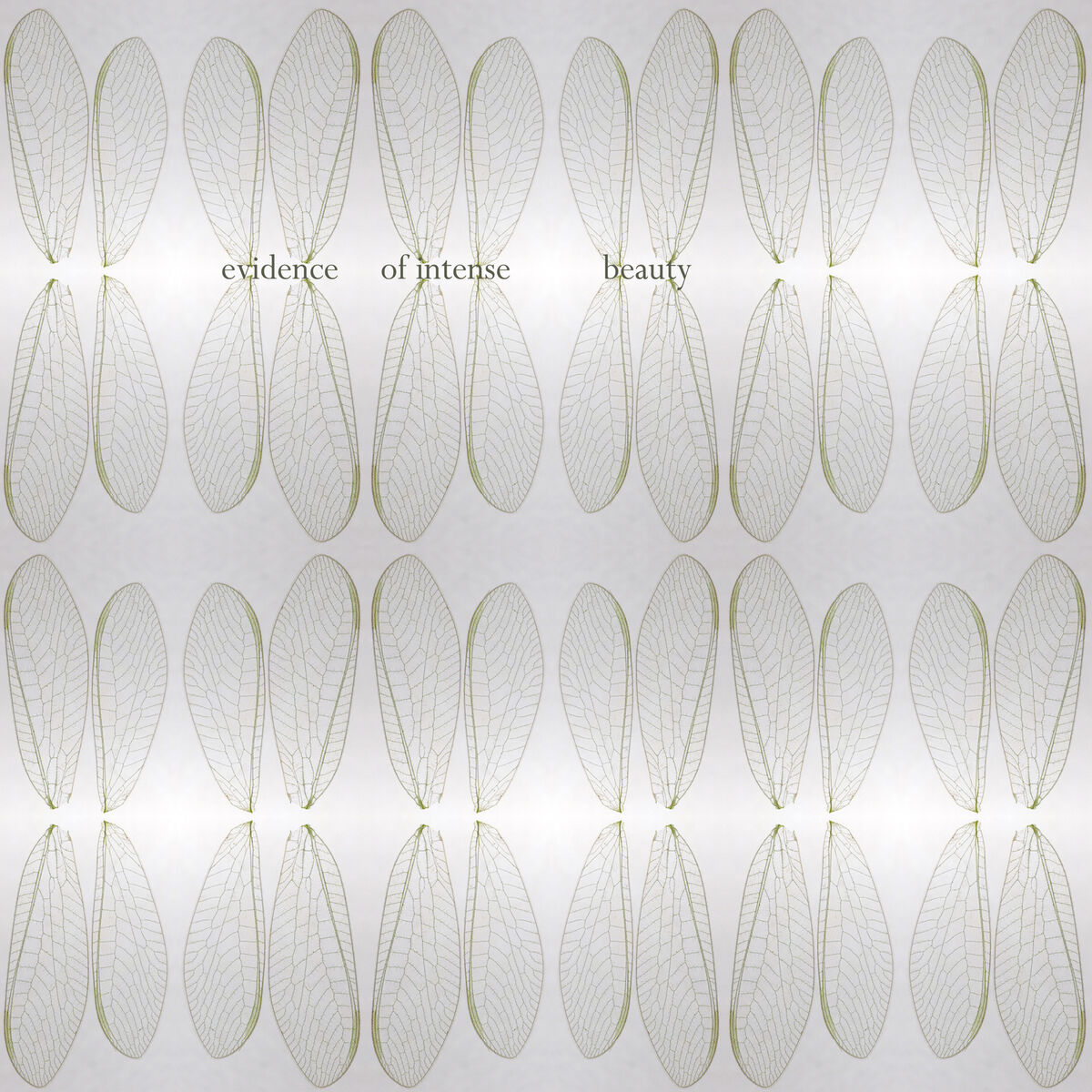 Album cover of Evidence of Intense Beauty