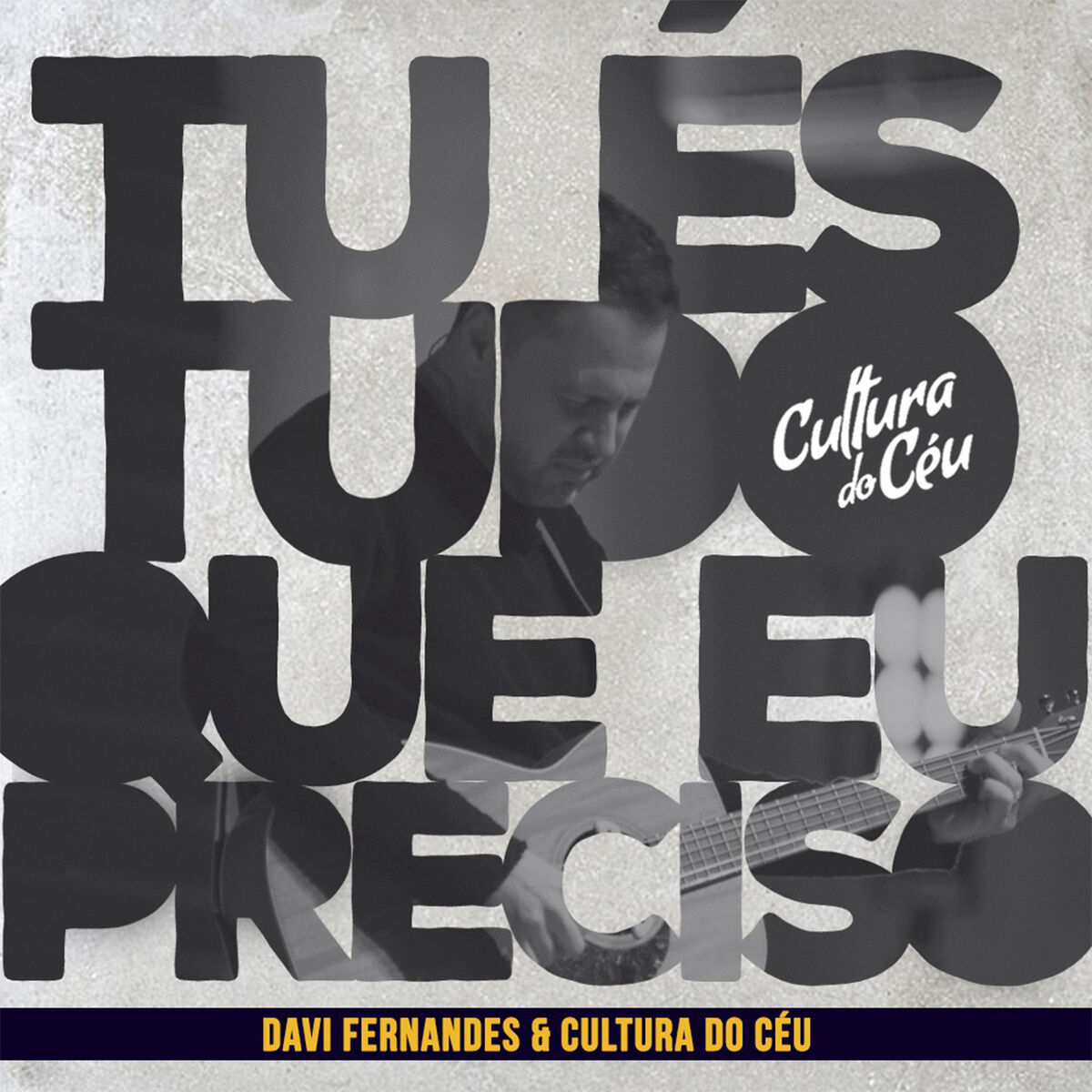 Album cover of Tu És Tudo Que Eu Preciso (Ao Vivo)