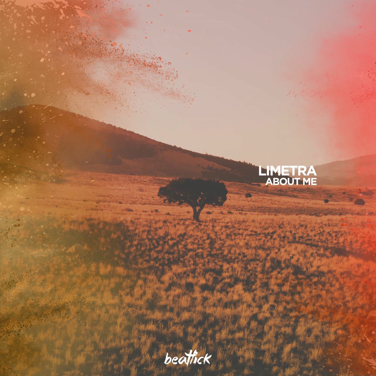 Album cover of About Me