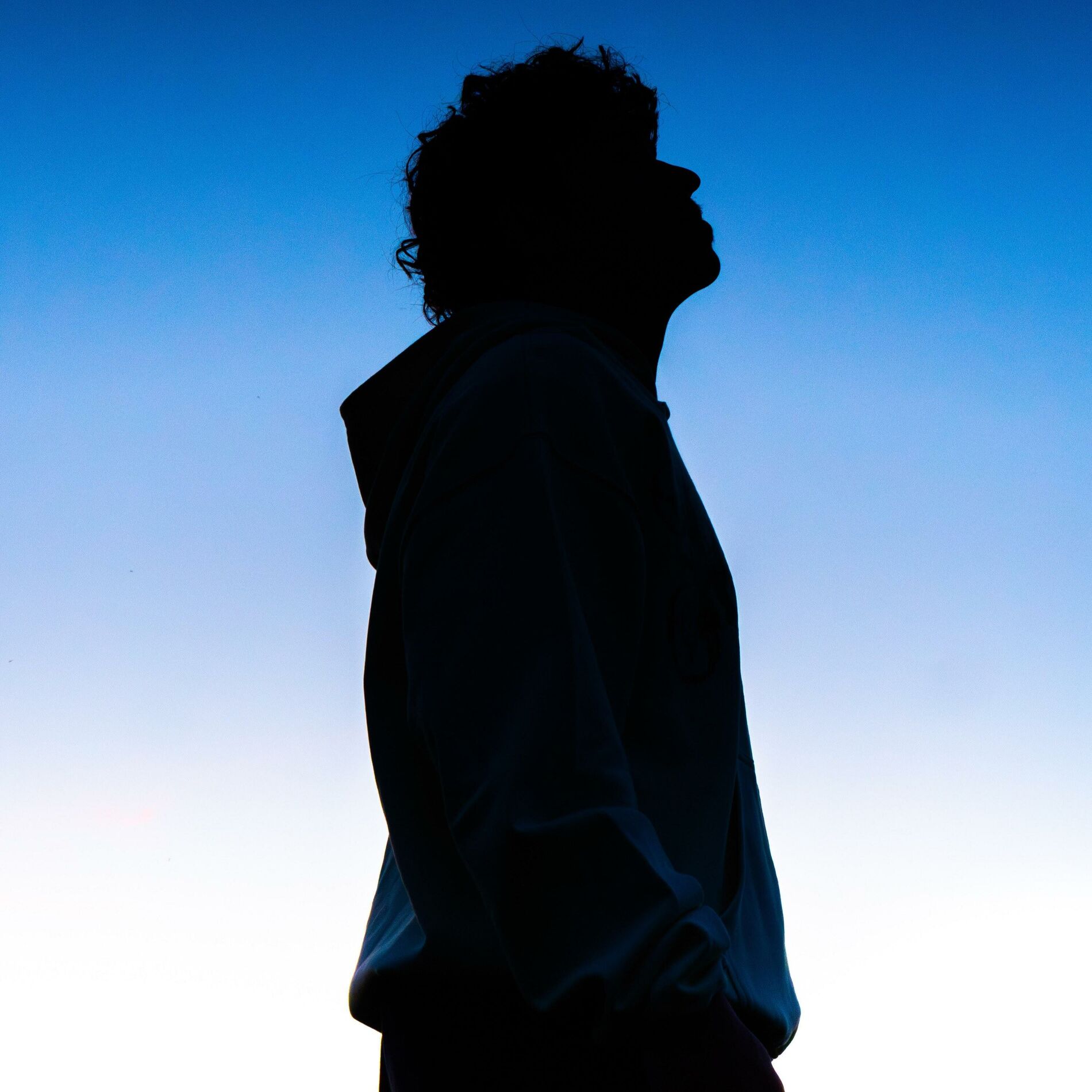 Album cover of Le Fruit des Larmes