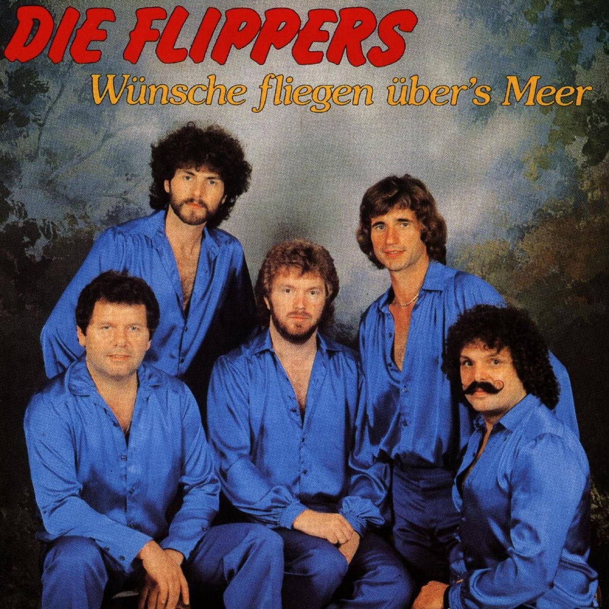 Album cover of Wünsche fliegen übers Meer