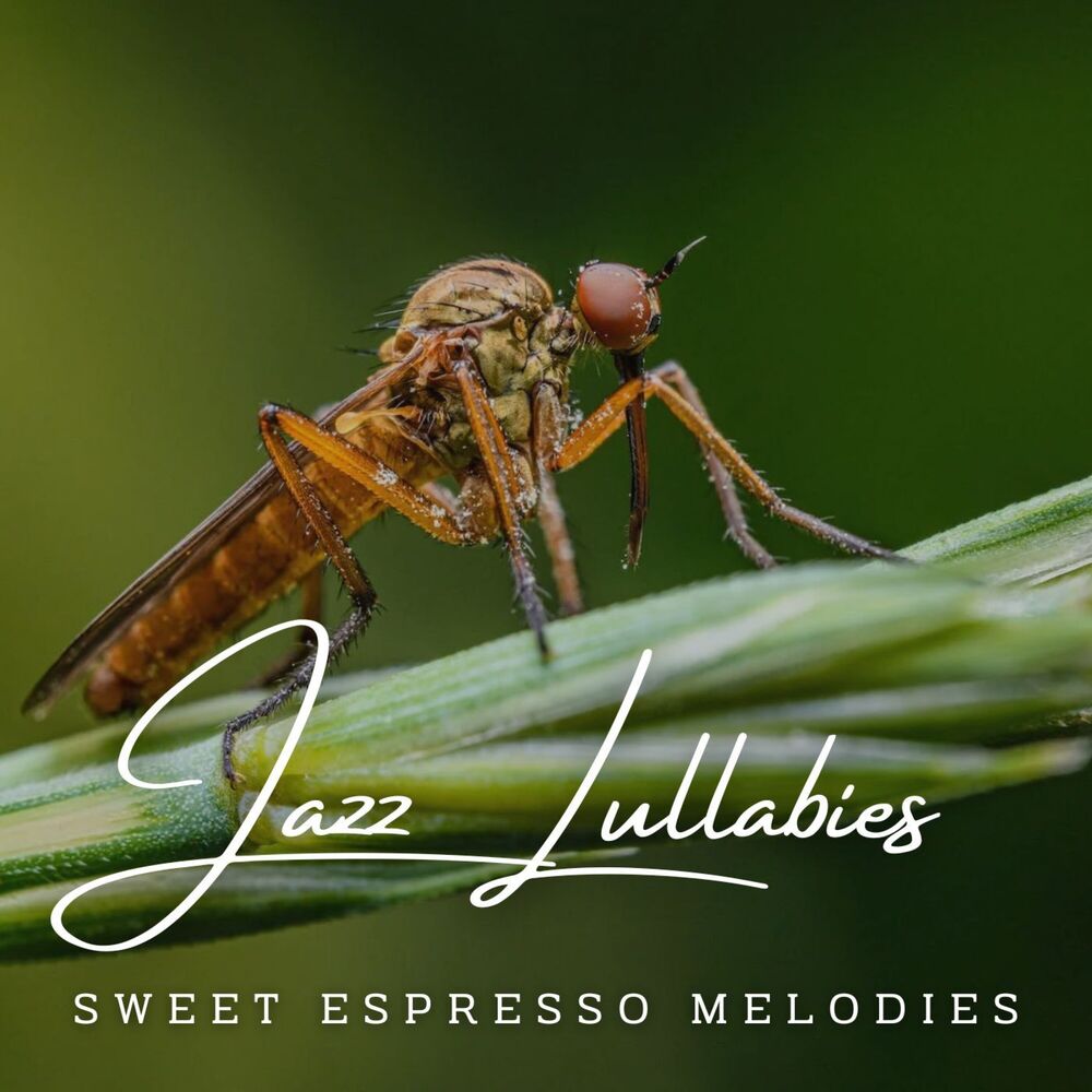 Picture of Jazz Lullabies: Cafe Lounge for Babies