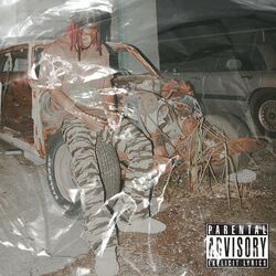 Cover of i don't fall