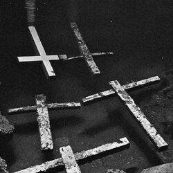 Cover of Faith