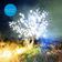 Into Love / Stars