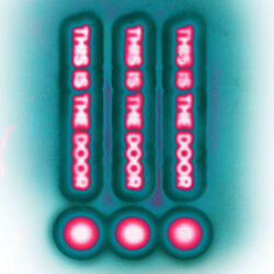 Cover of This Is The Door