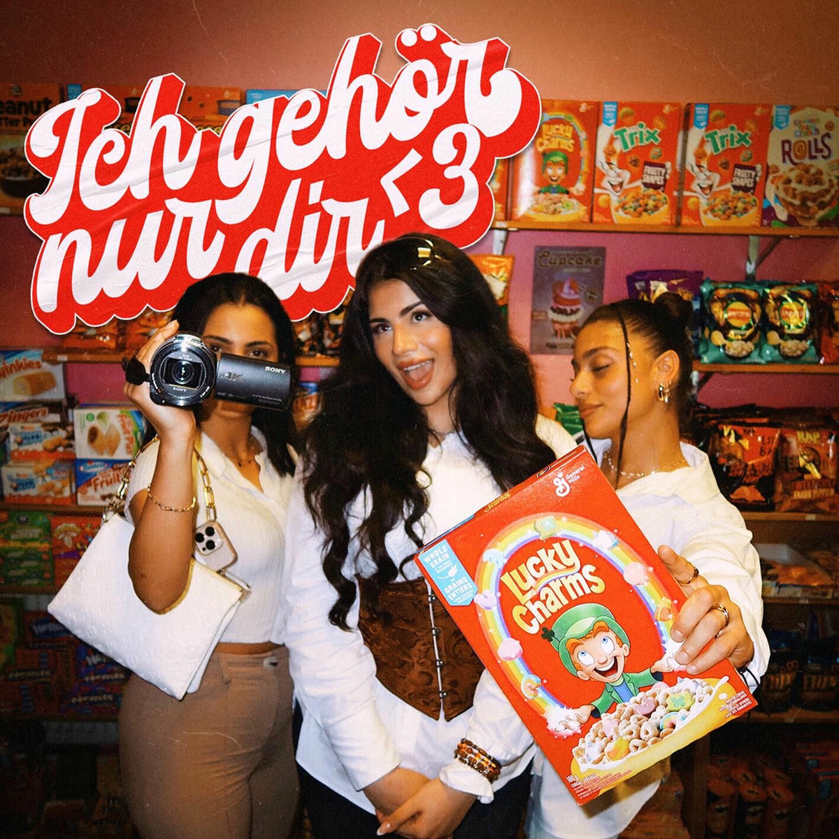 Album cover of ich gehör nur dir <3