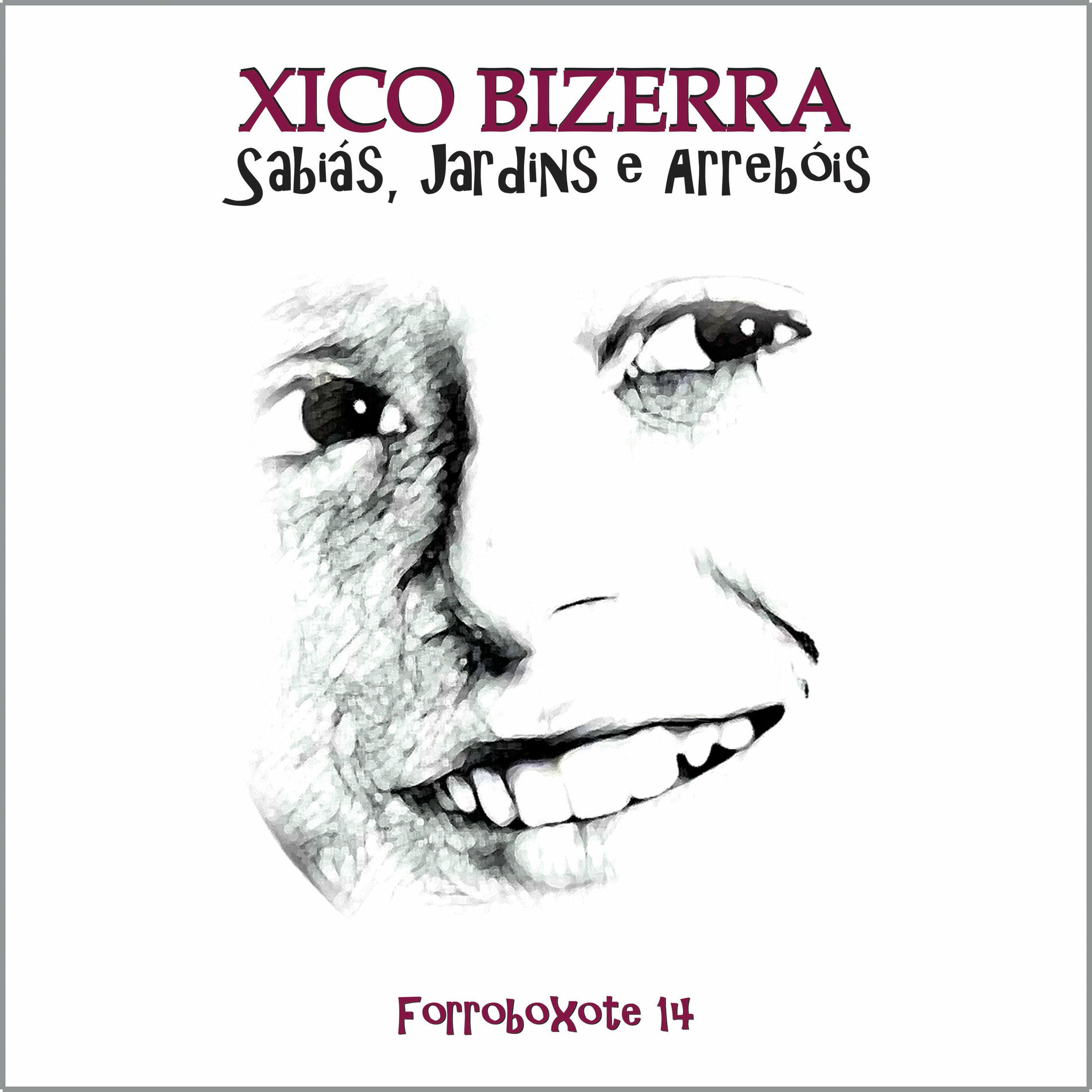 Album cover of Forroboxote 14 - Sabiás, Jardins e Arrebóis