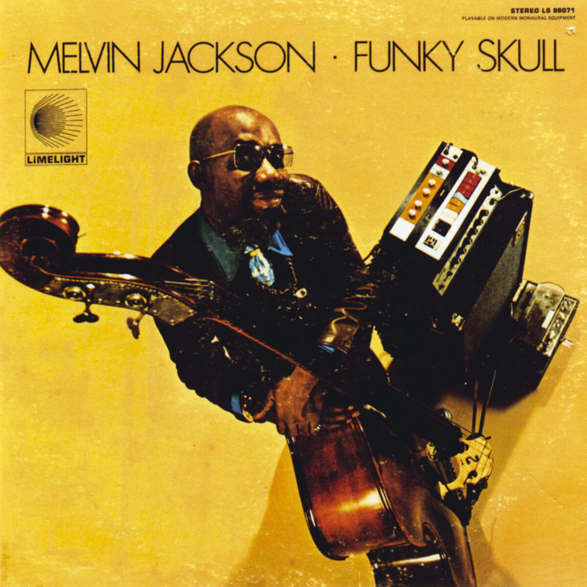 Album cover of Funky Skull