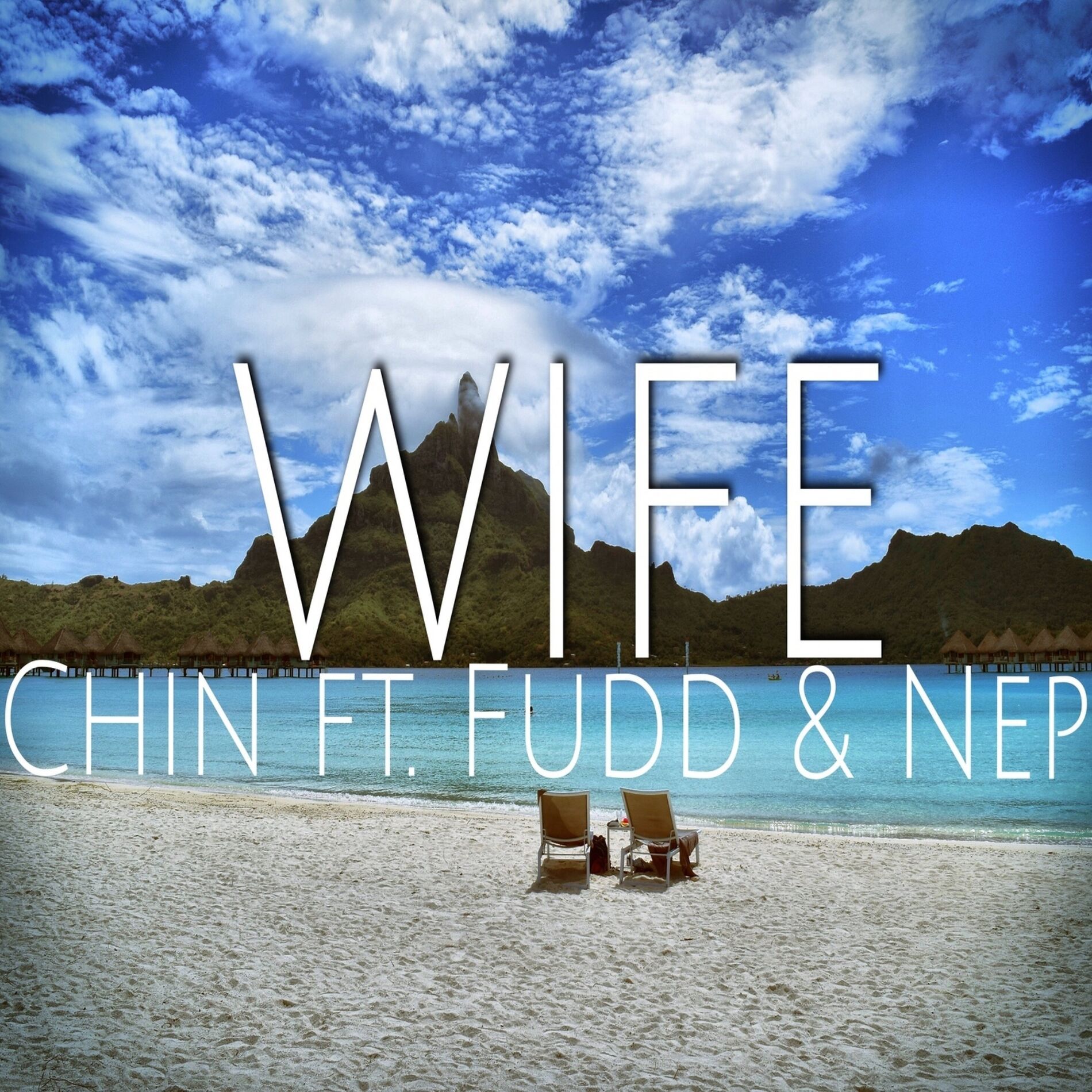 Album cover of Wife