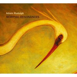 Cover of Morphic Resonances