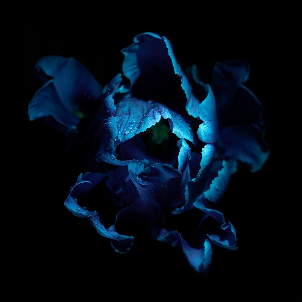 Picture of the color of the sky (sleep rework)