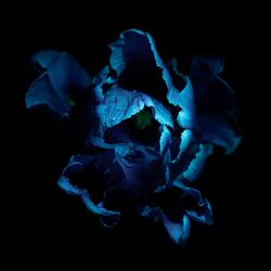 Cover of the color of the sky (sleep rework)