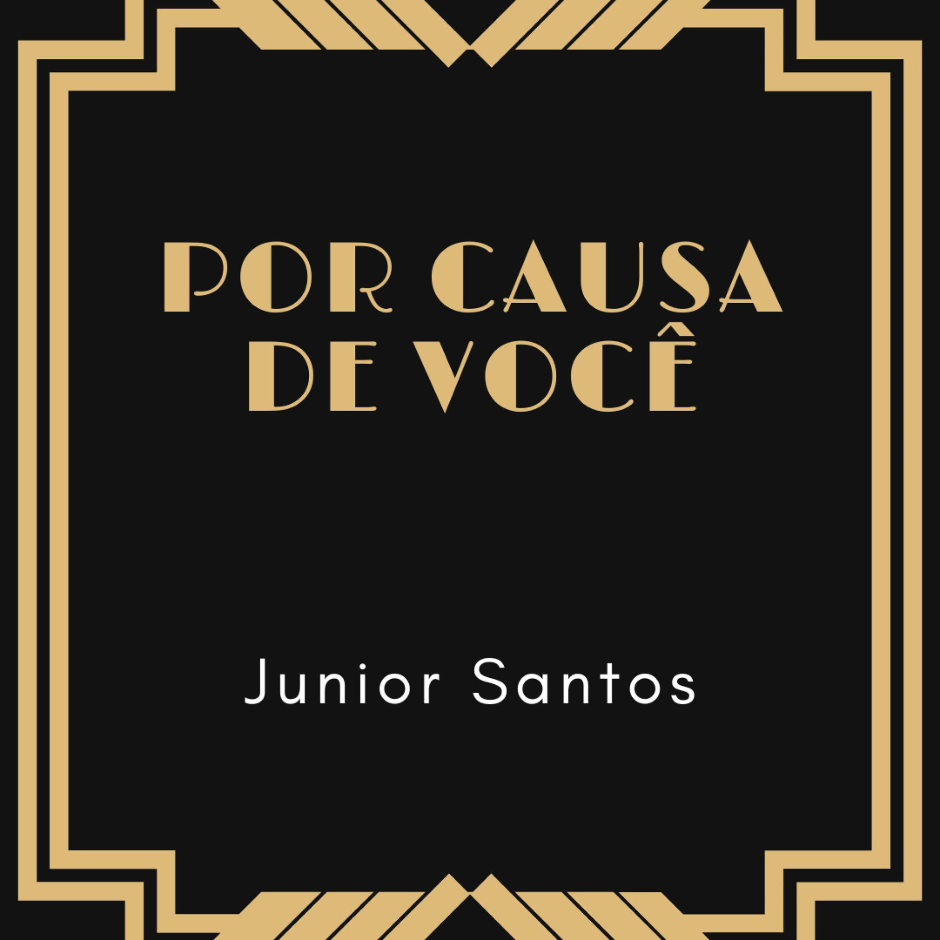 Album cover of Por Causa de Você