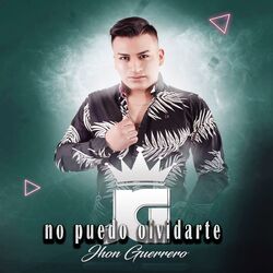 Cover of No puedo olvidarte