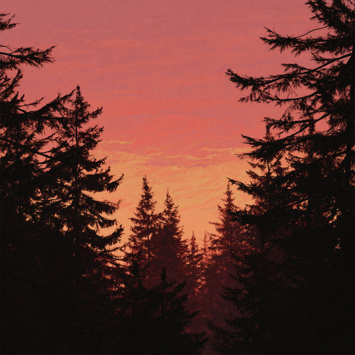 Album cover of Ember Meadow