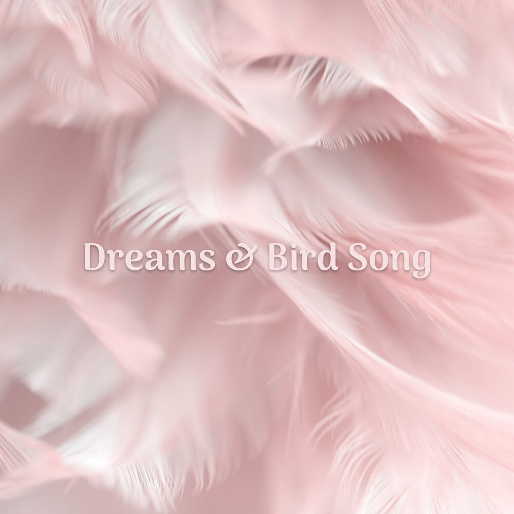 Picture of Dreams & Bird Song