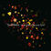 Crack The Shutters by Snow Patrol album cover