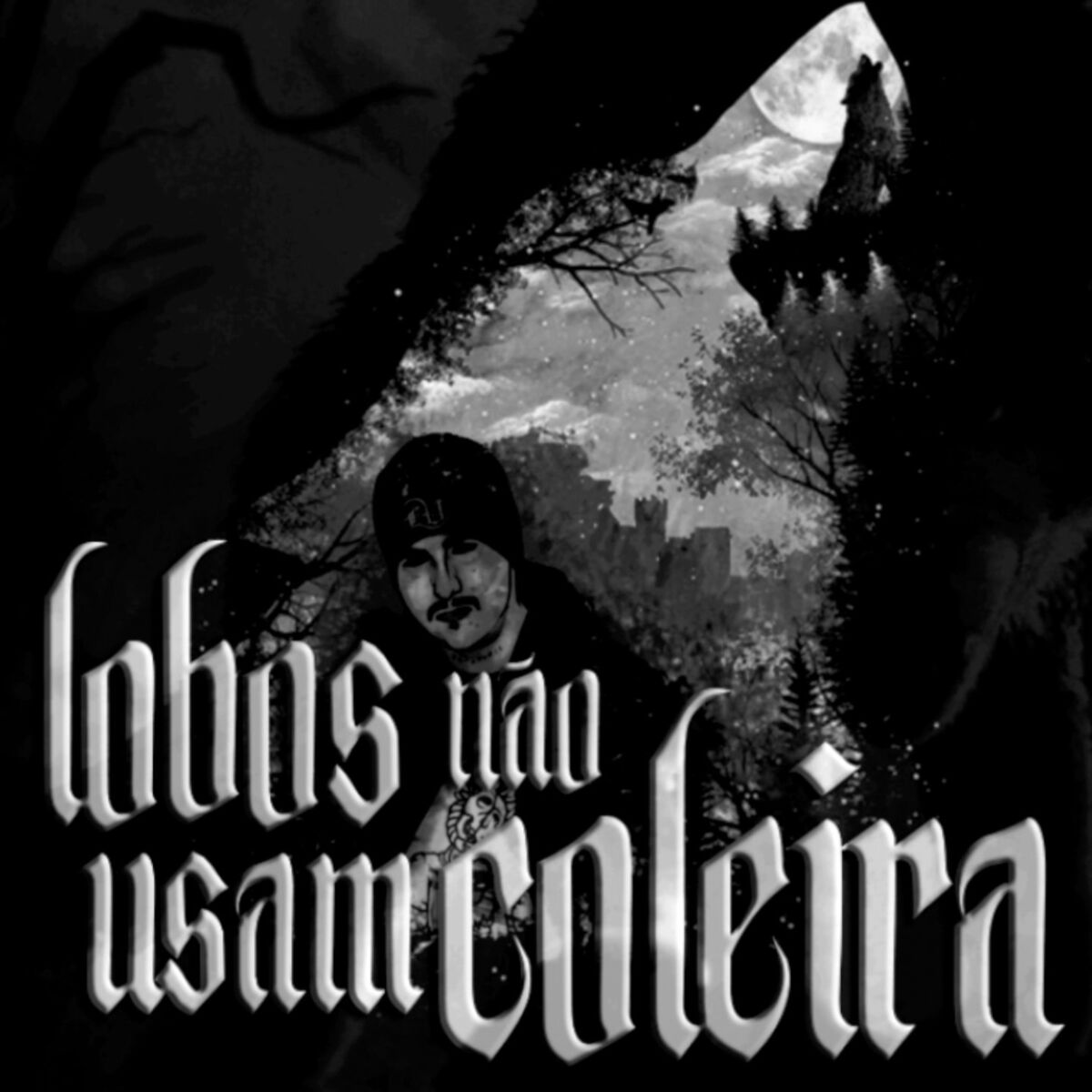 Album cover of Lobos Não Usam Coleira