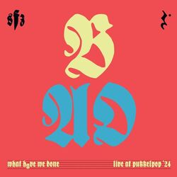 Cover of What Have We Done (Live at Pukkelpop)