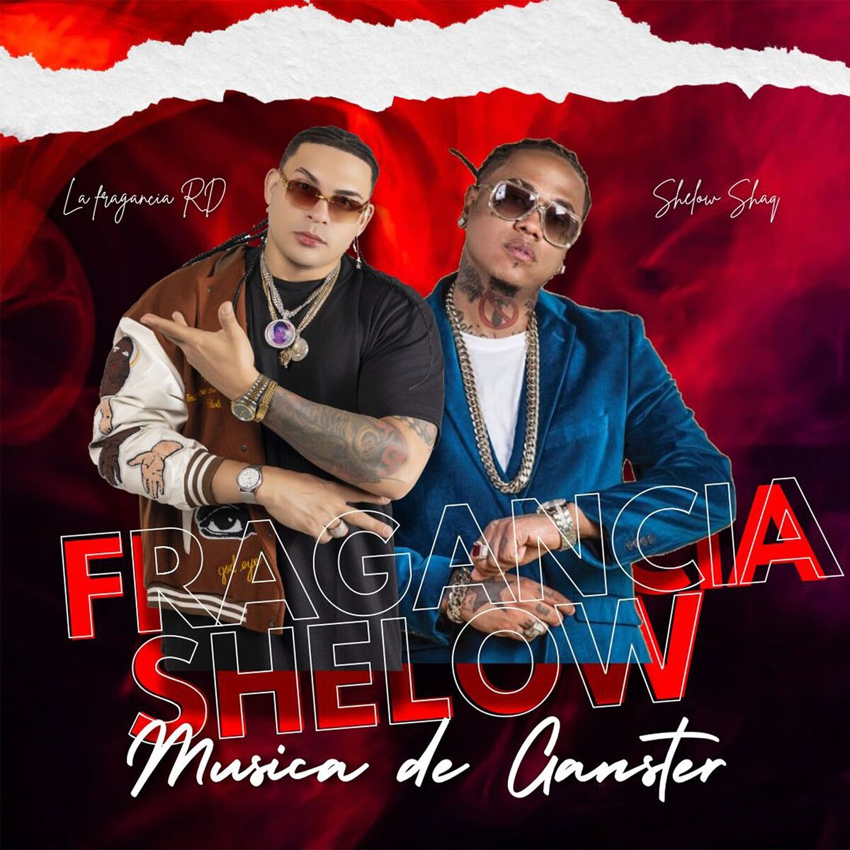 Album cover of Musica De Ganster
