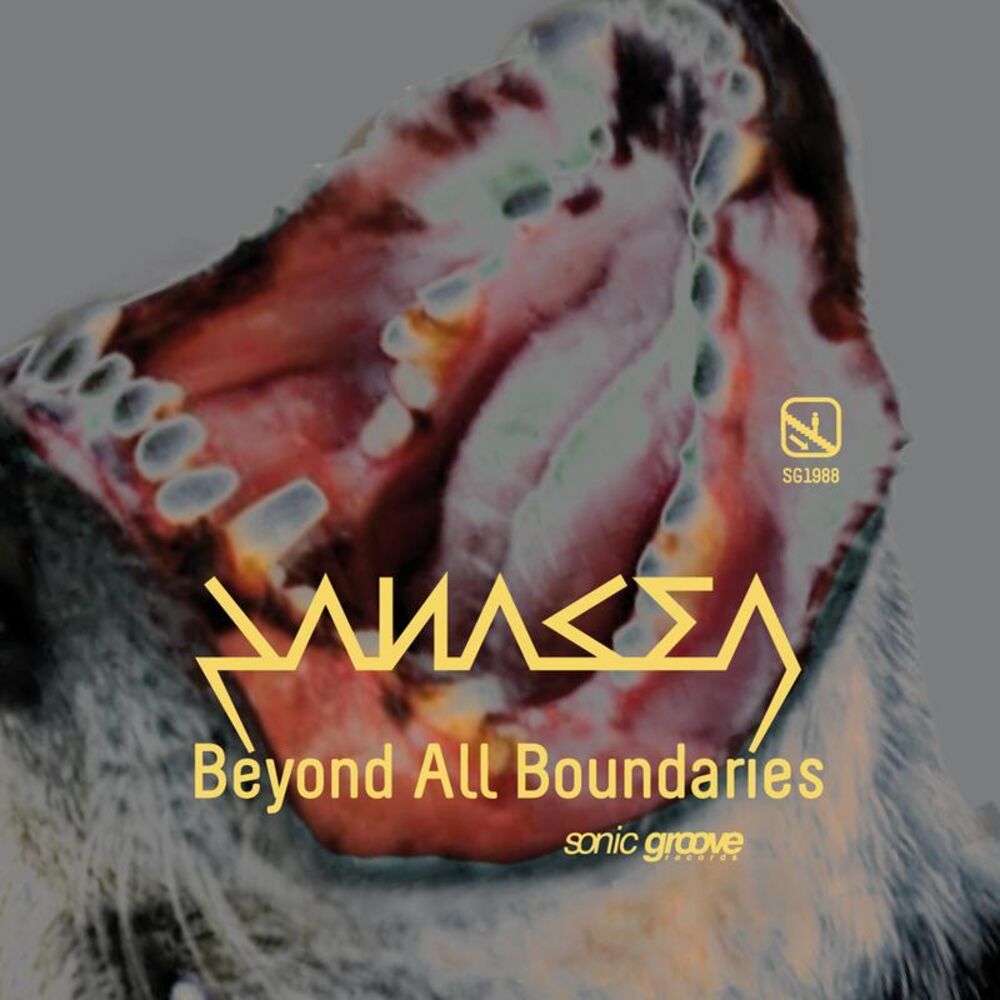 Picture of Beyond the Boundaries