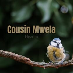 Cover of Cousin Mwela