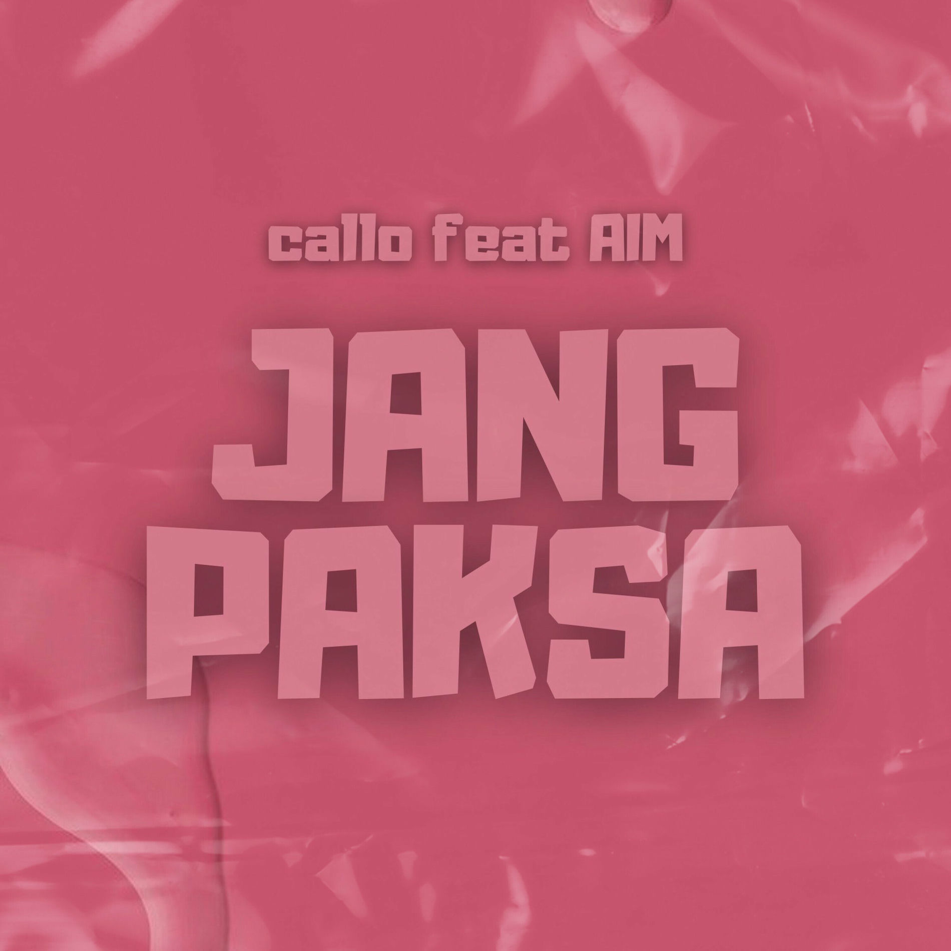 Album cover of Jang Paksa