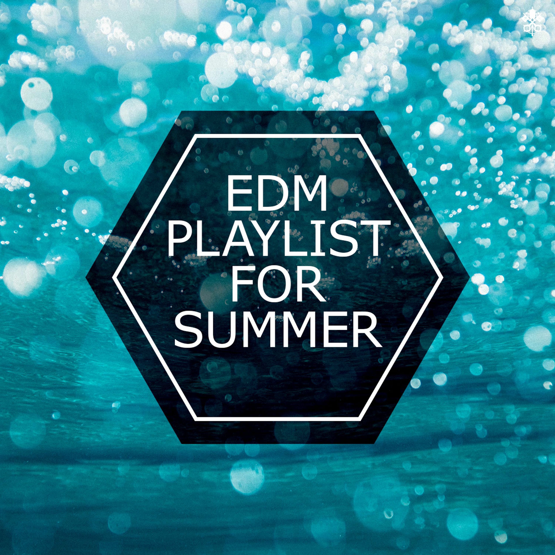 Album cover of EDM For Summer