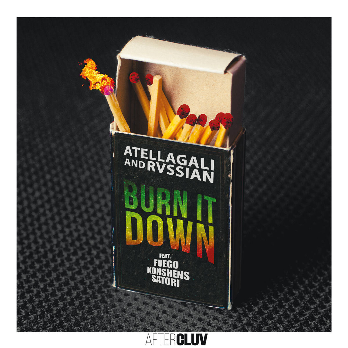 Album cover of Burn It Down