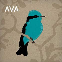 Cover of Ava