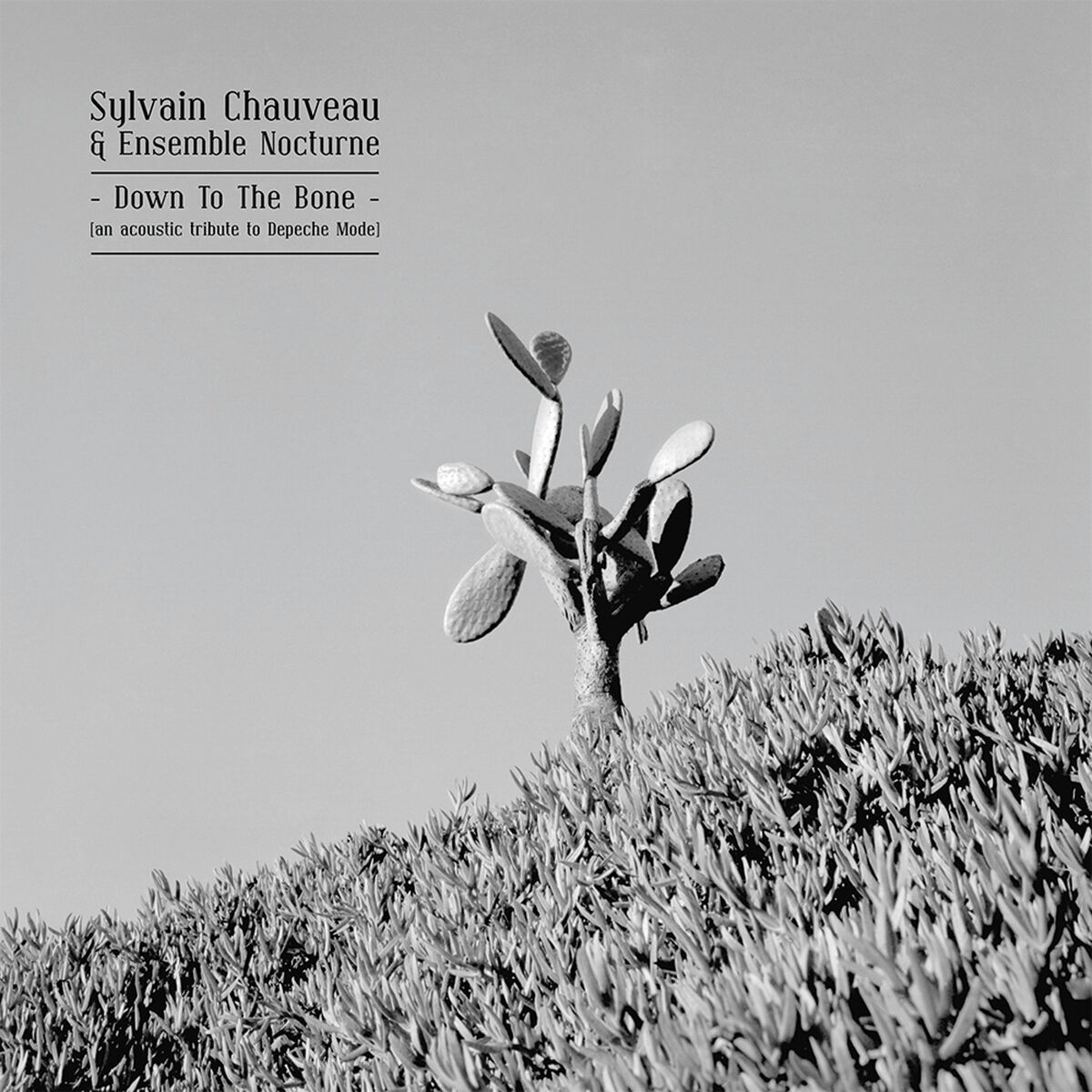 Album cover of Down to the Bone (An Acoustic Tribute to Depeche Mode)