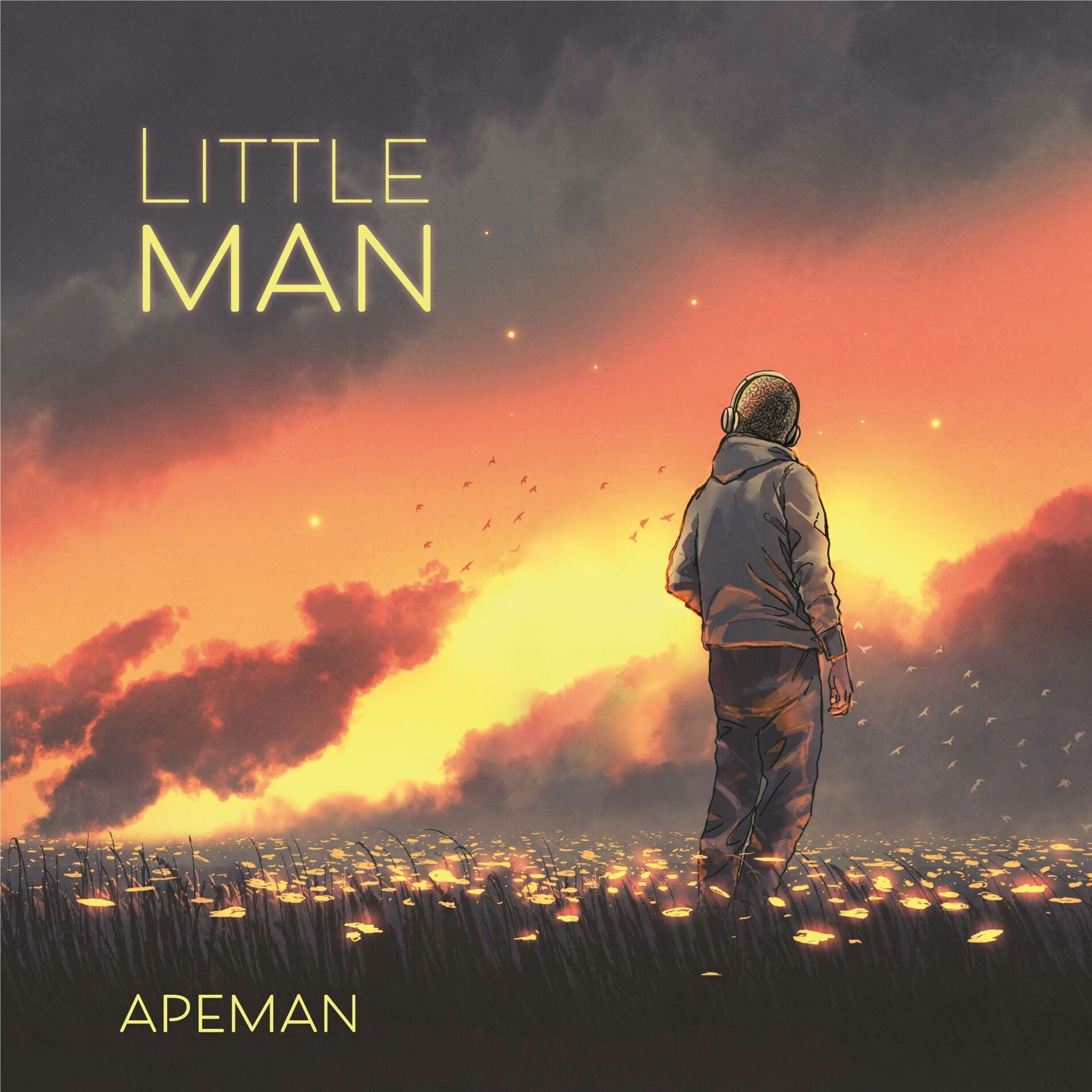 Album cover of Little Man