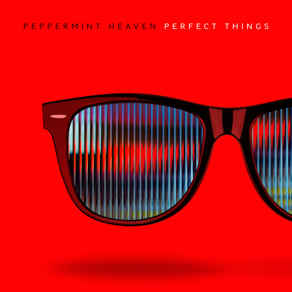 Picture of Perfect Things