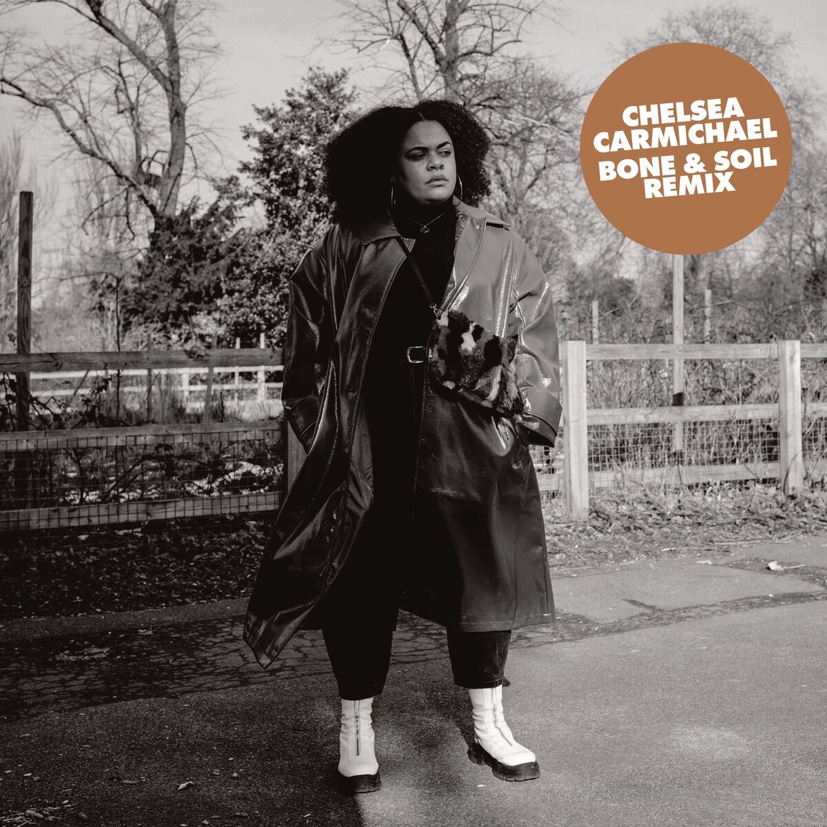Album cover of Bone And Soil (Shabaka Hutchings Remix)