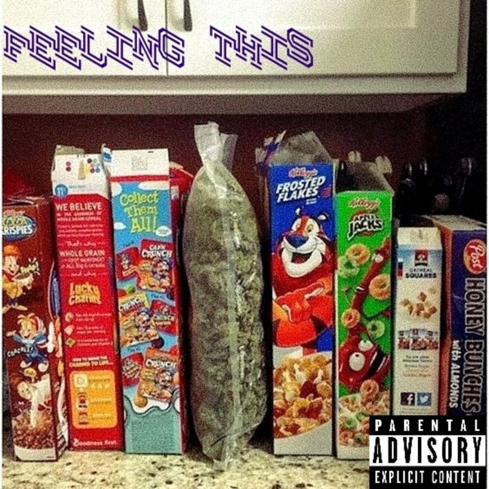 Album cover of Feeling This