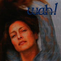 Cover of Hidden in the Name