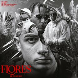 Cover of Flores de Plástico