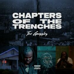 Cover of Chapters Of The Trenches