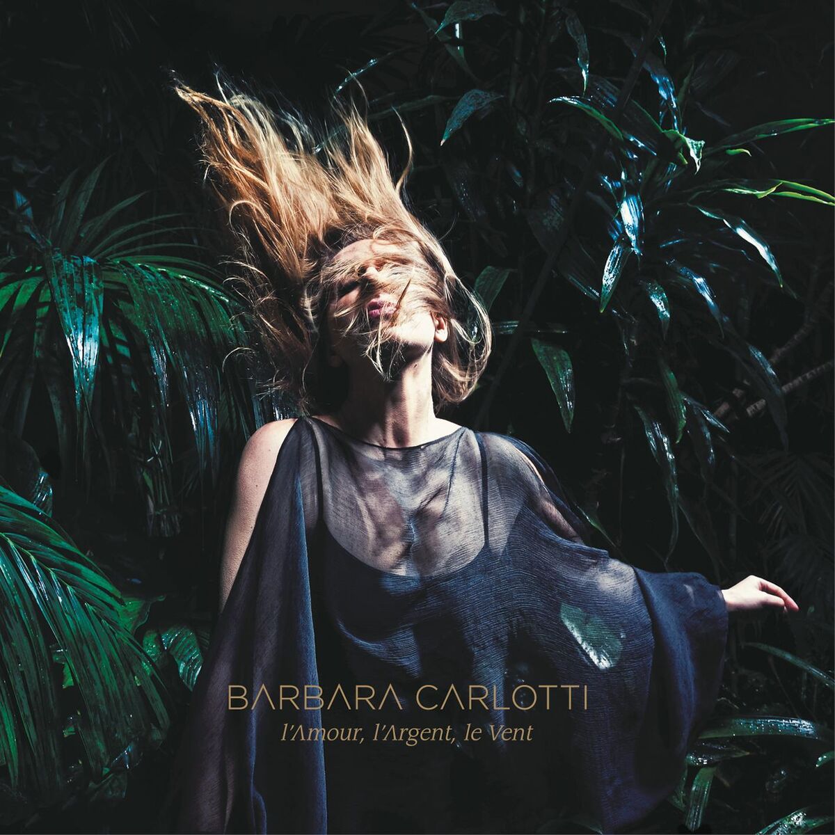 Album picture of L'amour, l'argent, le vent